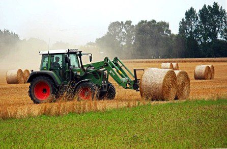 Farmer, looking for a cheap loan for farmers, at work